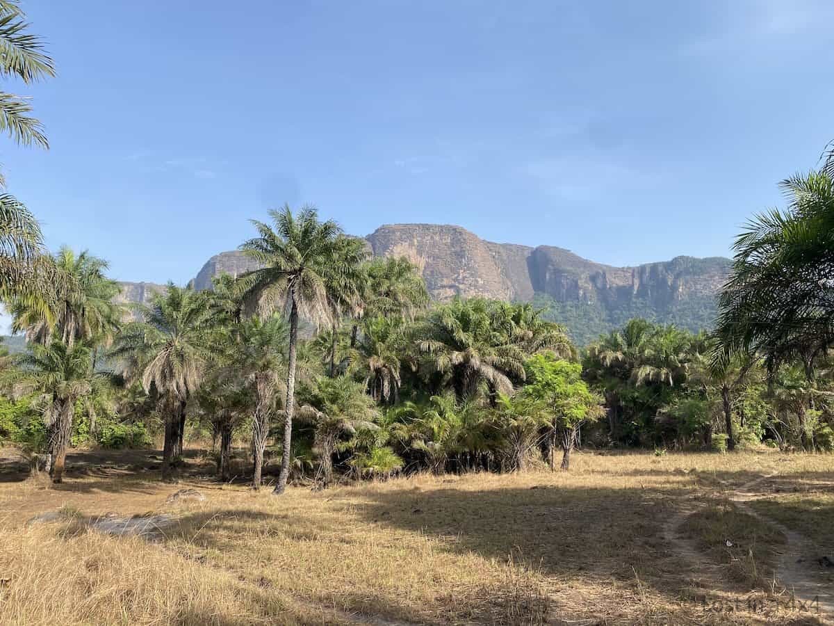 Green clearing with palm trees and sheer cliff mountains in Guinea during overland Africa trip