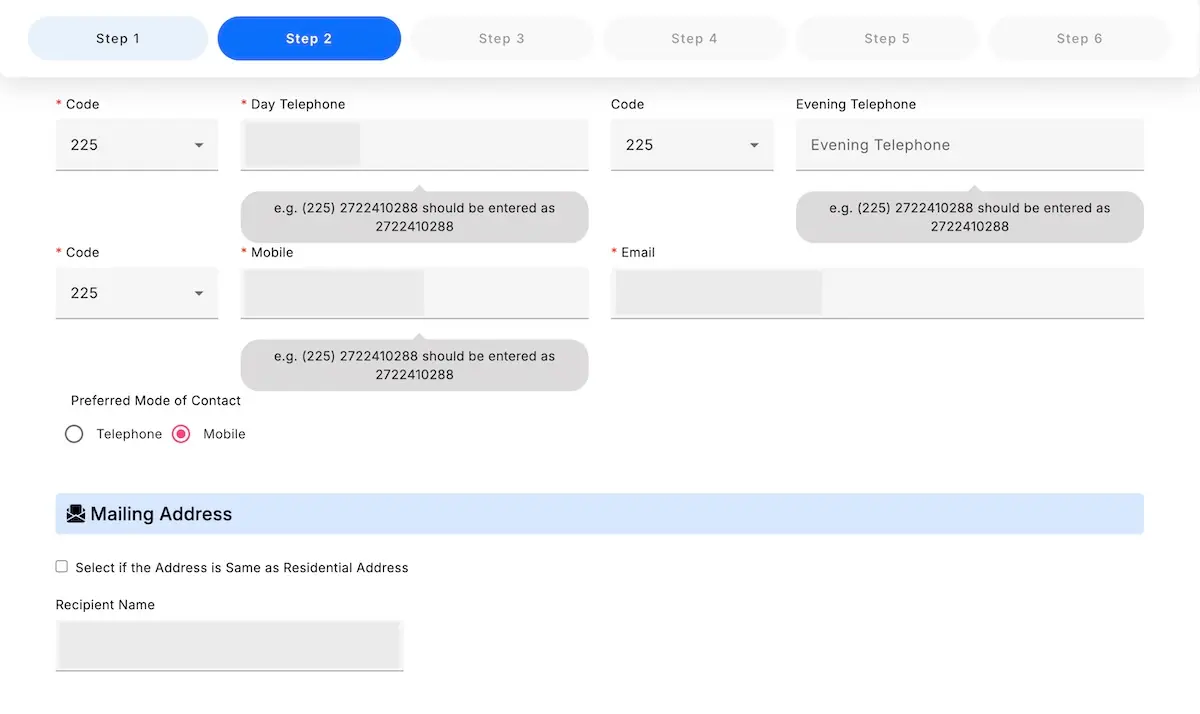 Mailing address section of the Ghana visa application form