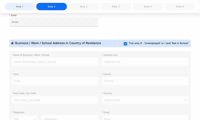 Business work or school address section of the Ghana visa application