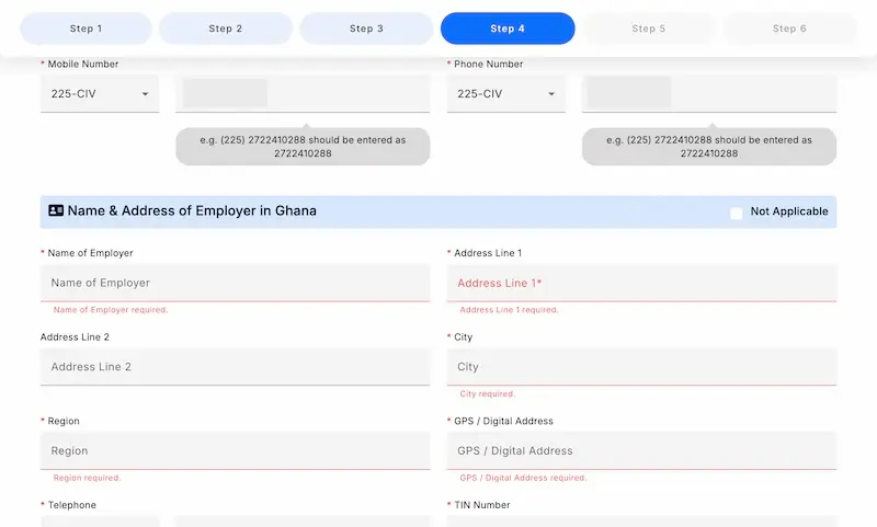 Employer in Ghana section of the online Ghana visa application